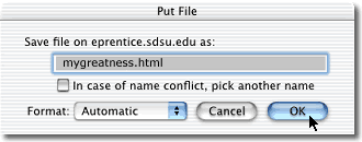 Put a File window