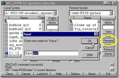 renaming a file