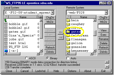 remote window pane