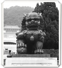 Chinese Dragon